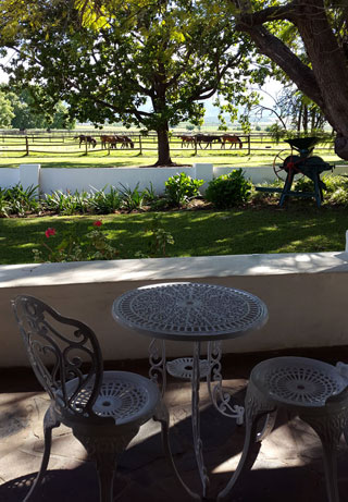 View from the Barry House on Riverton veranda