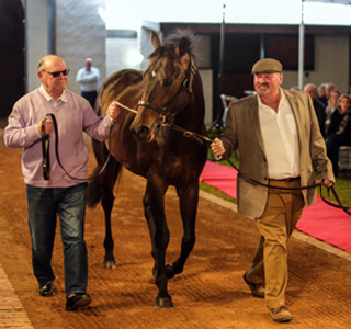 Captain of All launched as a Stallion
